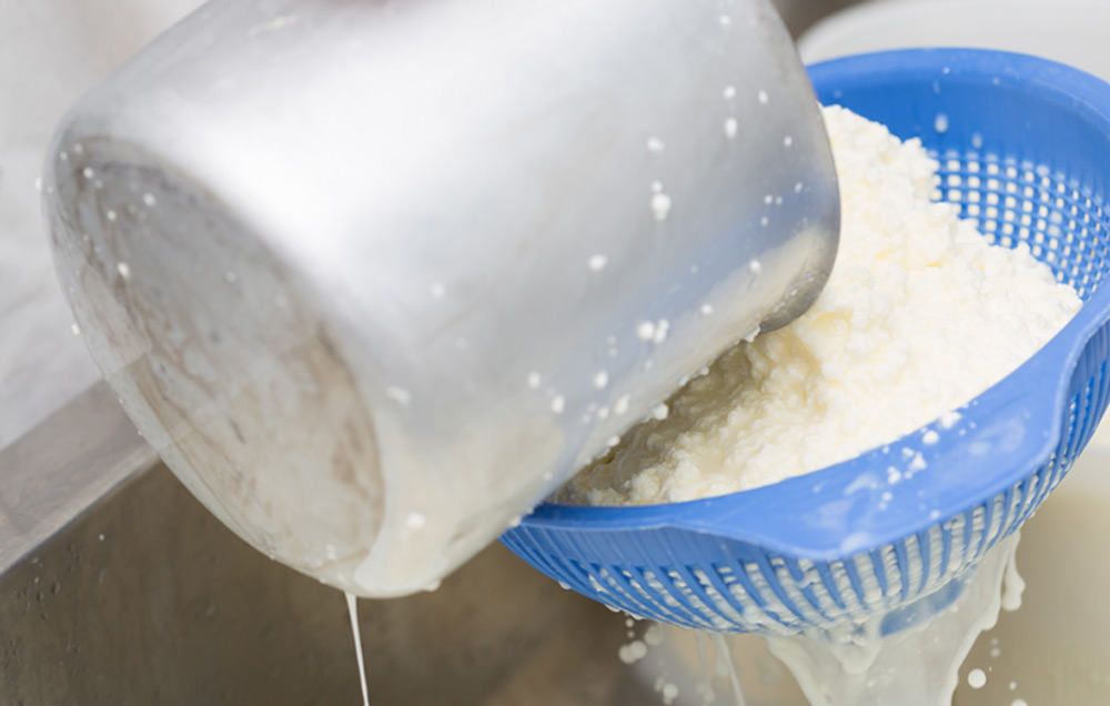Cheese being produced in boiling facility.